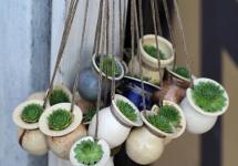 Cactuși de piatră: cactusi de piatră DIY Amintiri în piatră